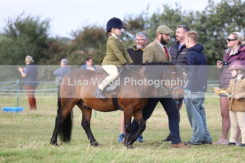 3E7A3332 - Class 2: Lead rein