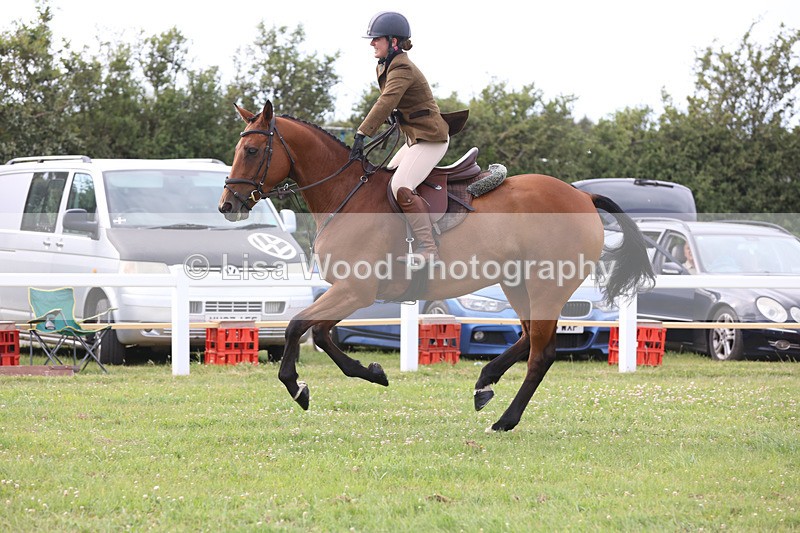 JPP_4107 - Class 24: Working Hunter 90cm