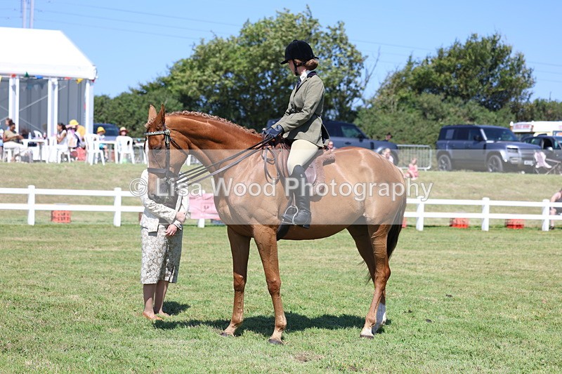 3E7A7818 - Class 7: Open Riding Horse
