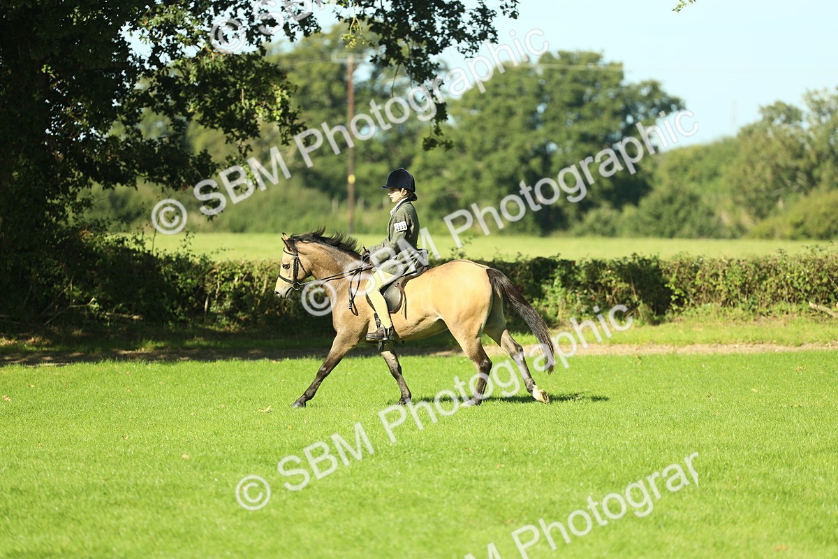 SBM_36499 - S29 - Novice & Newcomers Working Hunter Pony