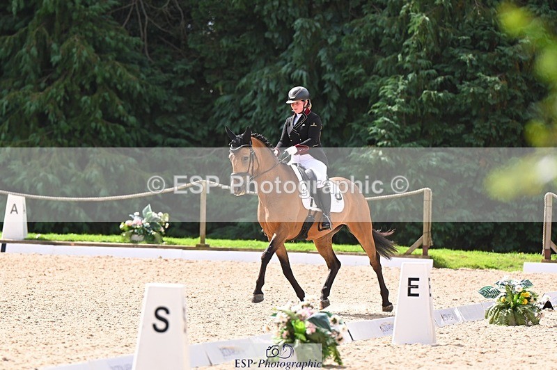 240809-104409-00368 - 173-Daisy.Winkle-Decandro.Hit.LDS