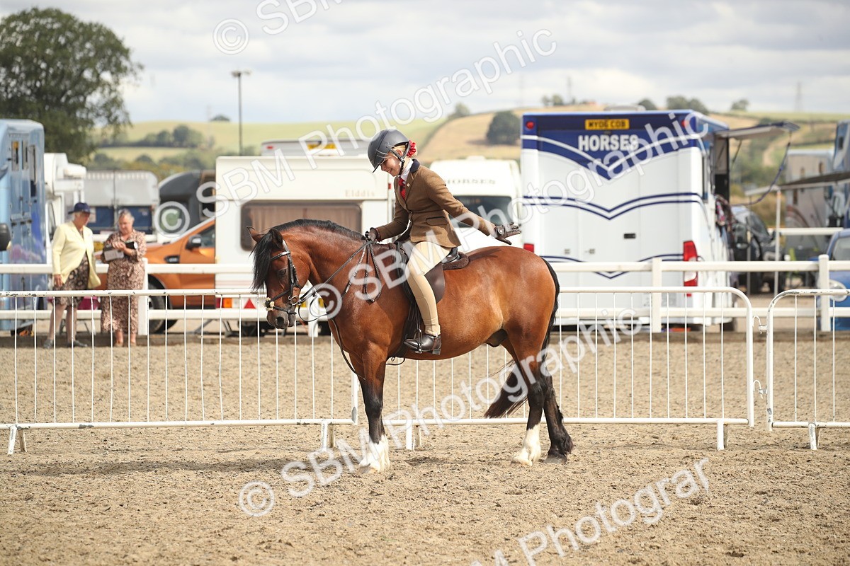 SBM_17871 - Class 508b - Working Veteran 70cm (20+)