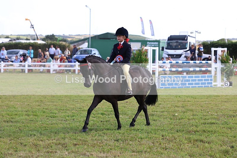 3E7A3964 - Supreme Championship