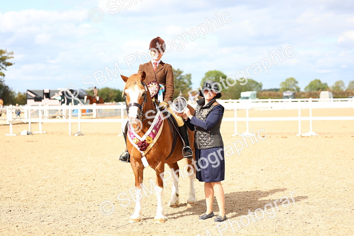 SBM_15859 - Class 314 - Family Horse - Pony