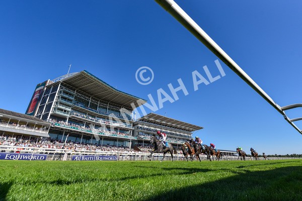110725-Race 5-Mahras Love-6839 - Race 5 4.32pm Laura Barry Memorial Handicap