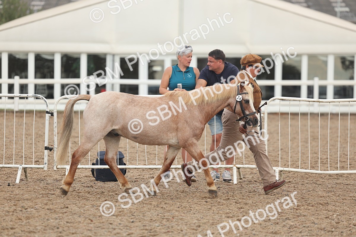 SBM_08464 - Class 29 - IH Veteran Pony