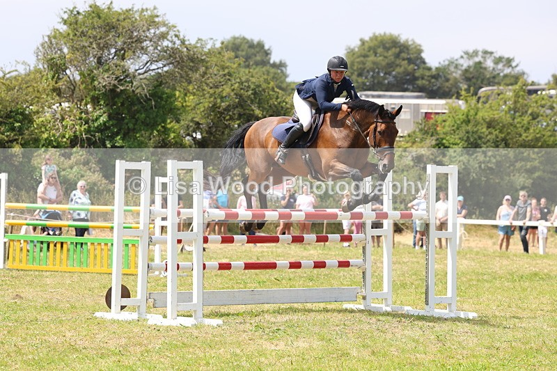 3E7A3444 - Class 10: Senior Foxhunter/1.20 open