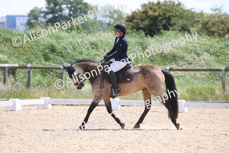 20250614-0827 - Class 4 - Novice 2