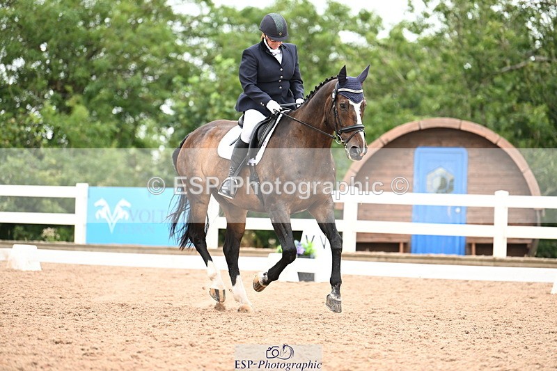 240815A-132854-01533 - 205-Donna.Boyd-Vagebond.vd.Withoeve.Z