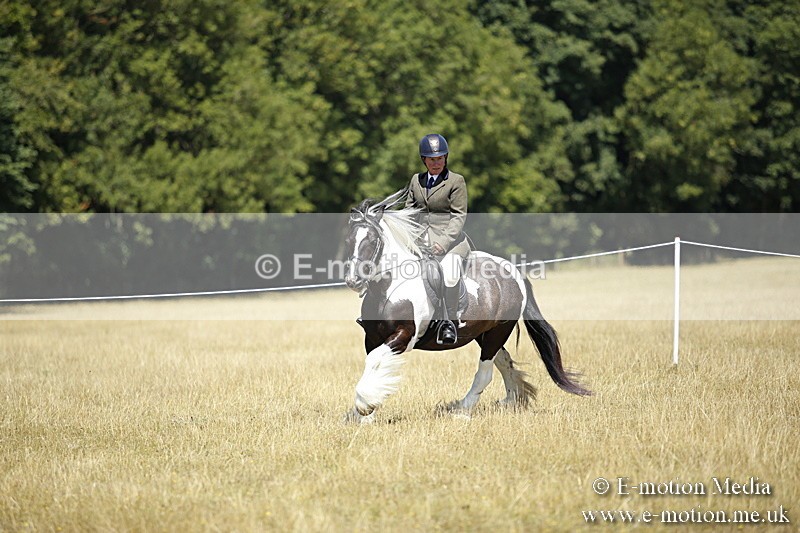 _C7A9958 - BVRC Show 2018 Ring 1