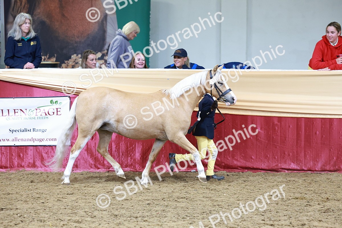 SBM_19937 - Class A - Junior Champ 10yr and Under