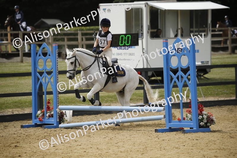 20250622-4714 - 50cm