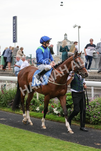 yr20082021r7-11 - Race 7 5.10pm Sky Bet Mile