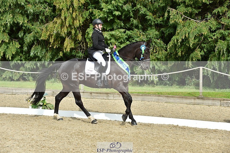 230812-160324-05340 - FEI PSG Bronze Presentations