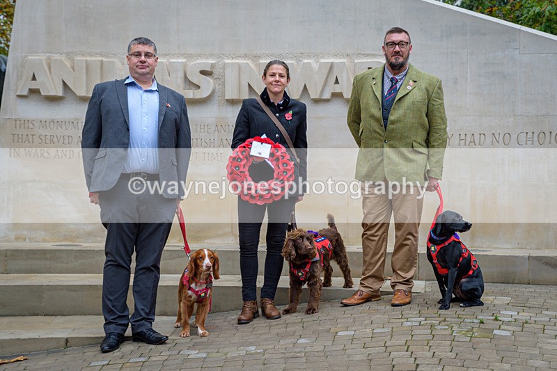 NGP_8122 - 2024 Animals in War Remembrance Gathering