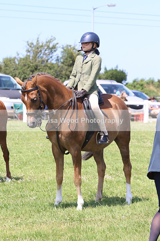 JPP_2741 - Class 21: Working Hunter 60cm