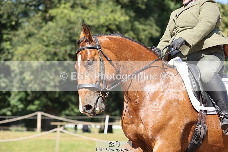 240719-105350-00812 - 169-Marion_Eaves-Indigo_Queen_of_Hearts