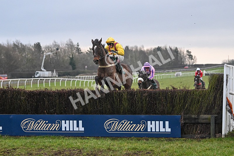 100225-Race 4-Onesoc-6703 - Race 4