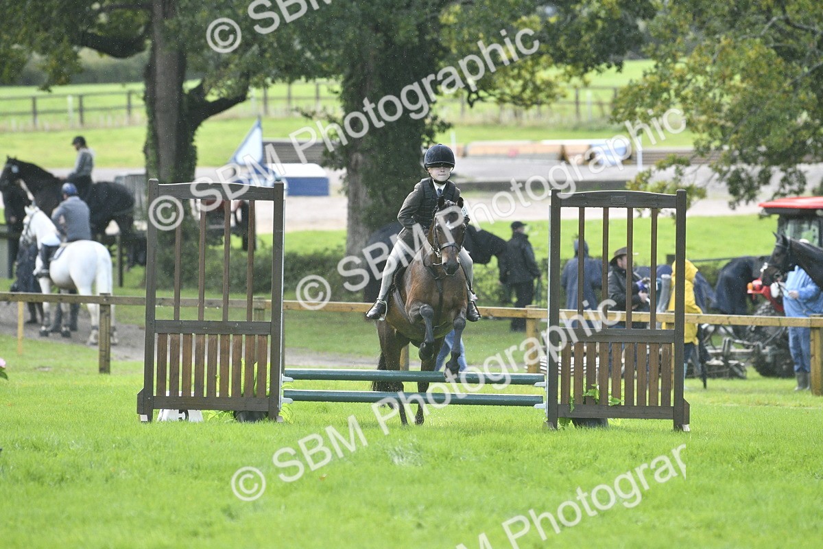 SBM_37172 - S31 - Novice & Newcomer Working Hunter Pony