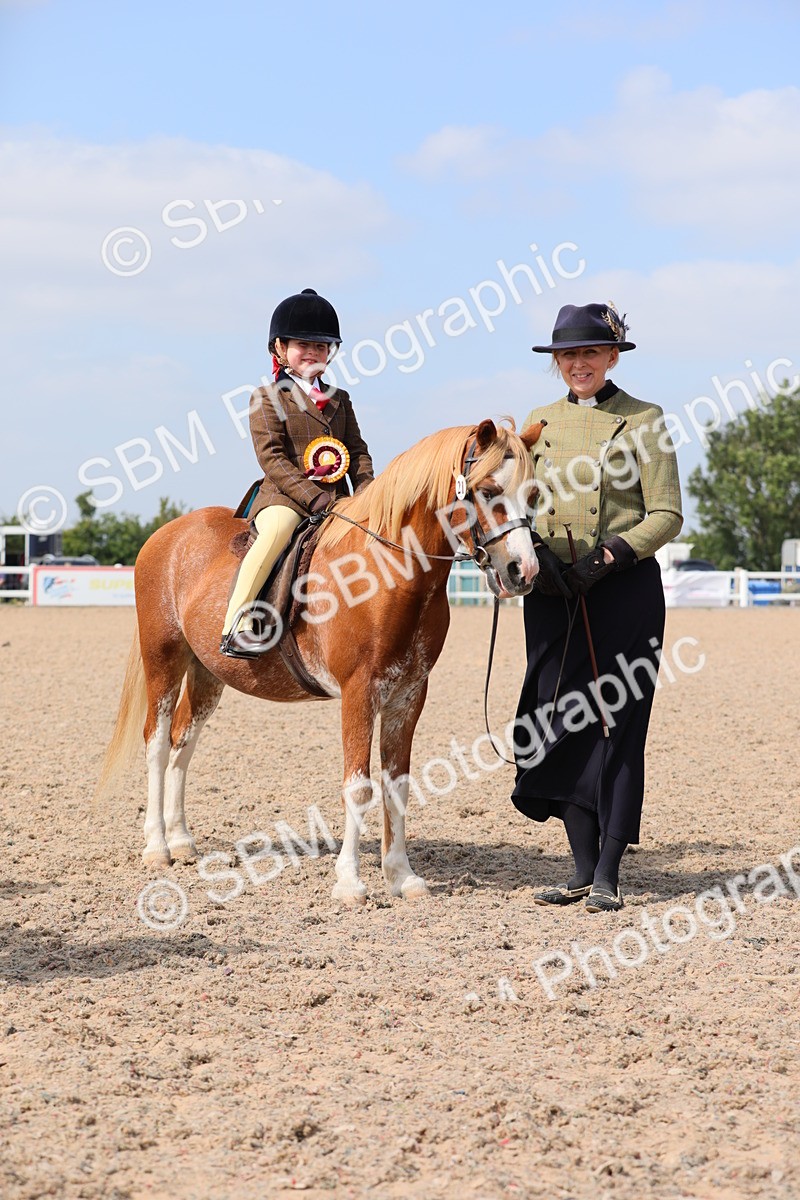 SBM_14108 - Class 309 Lead Rein Pony
