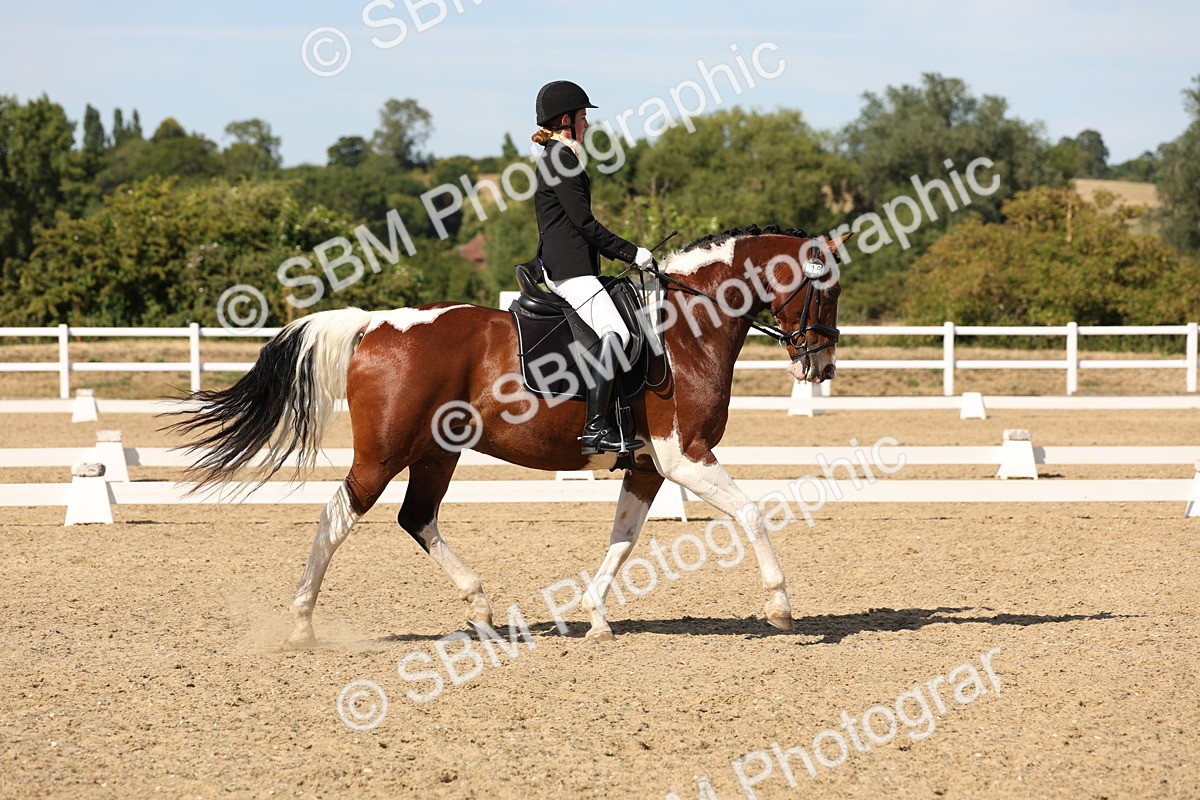 SBM_003862 - Elementary 4