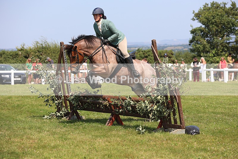 JPP_3152 - Class 22: Working Hunter 70cm