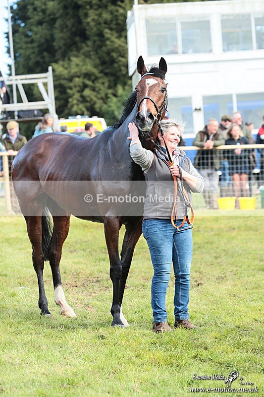 PtP 180426 1190 - Worcestershire Hunt PtP Chaddesley Corbett 18/04/26