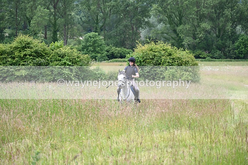 WJ6_7980 - Camera 1 Gallops