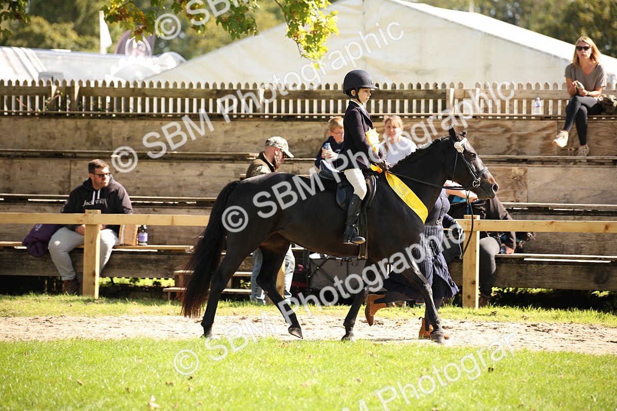 SBM_40894 - Fun Showing Supreme Championship