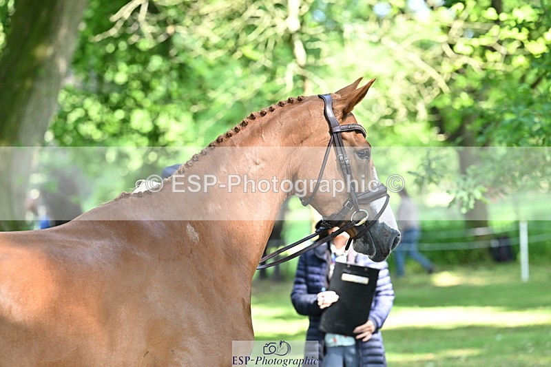 250521A-160232-00881 - C-227-Jonelle.Price-I.LIKE.IT.DE.ROHAN