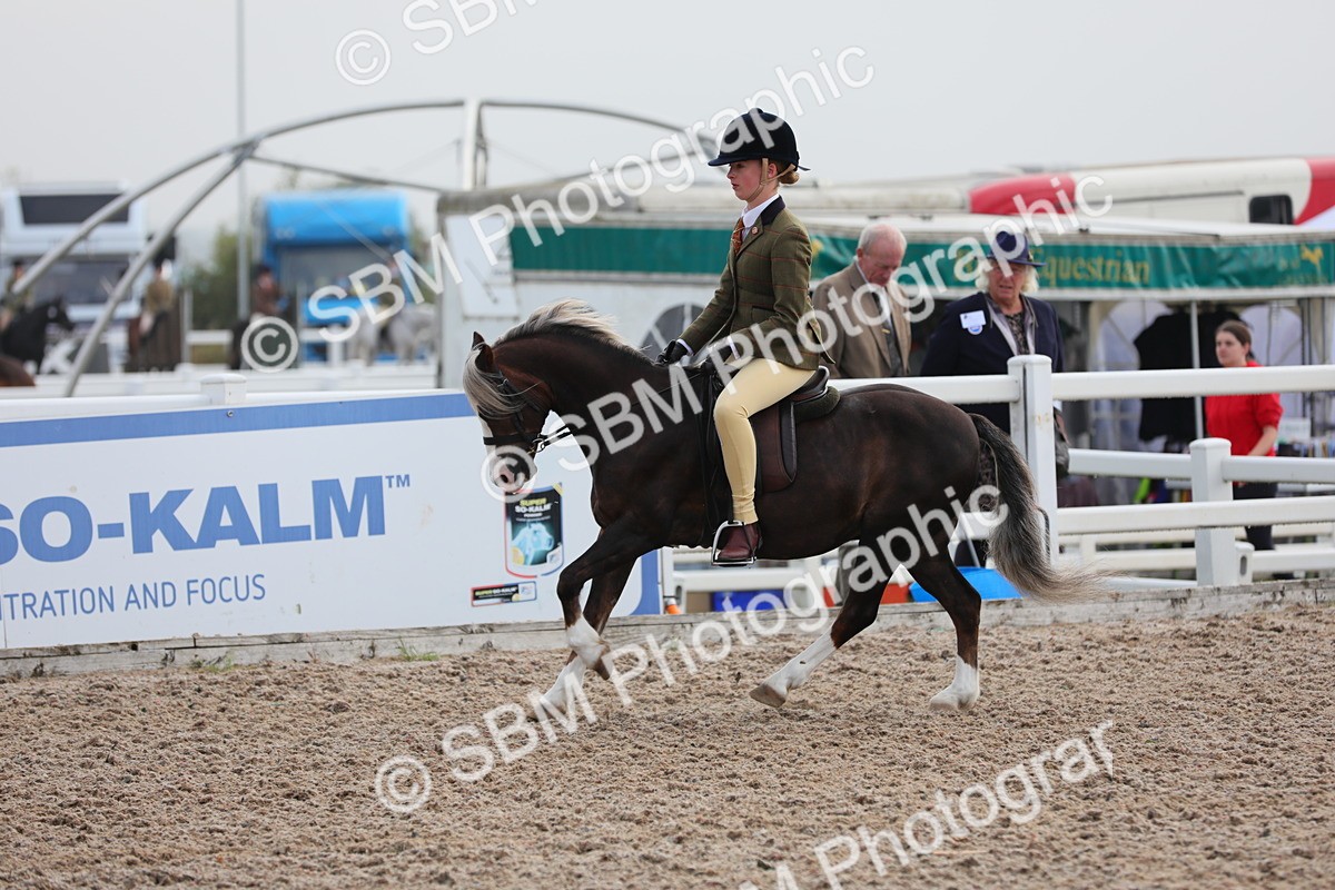 SBM_09627 - Class 301 Ridden M&M -Small Breeds