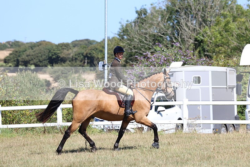 3E7A6255 - Class 6: Working Hunter 1m
