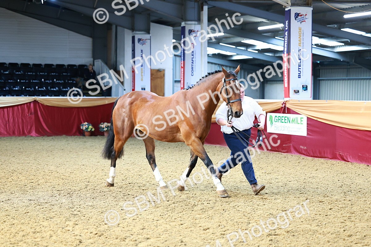 SBM_22200 - Class 902 - Supreme Final - IH Diamond