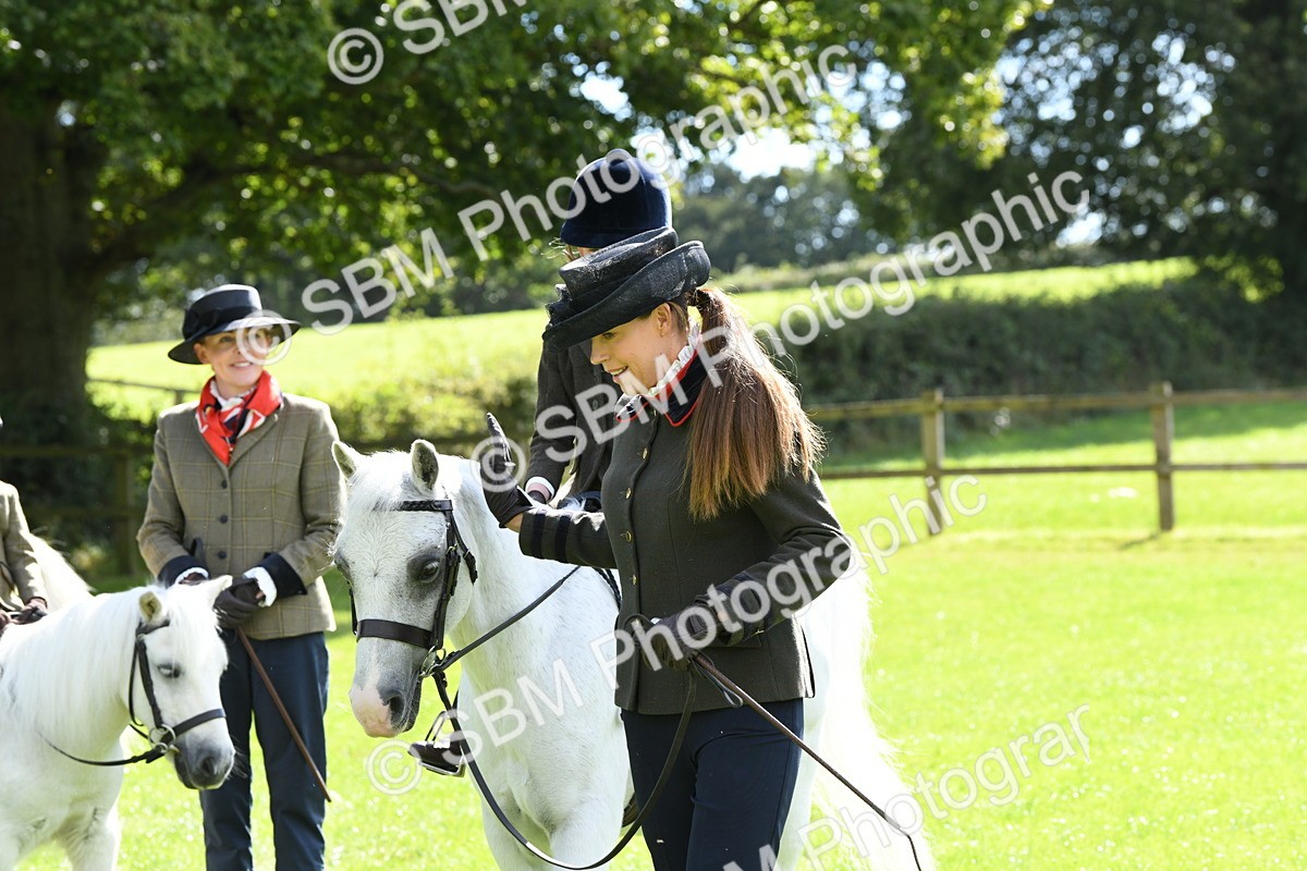 SBM_42607 - S20 - Lead Rein Mountain & Moorland Pony