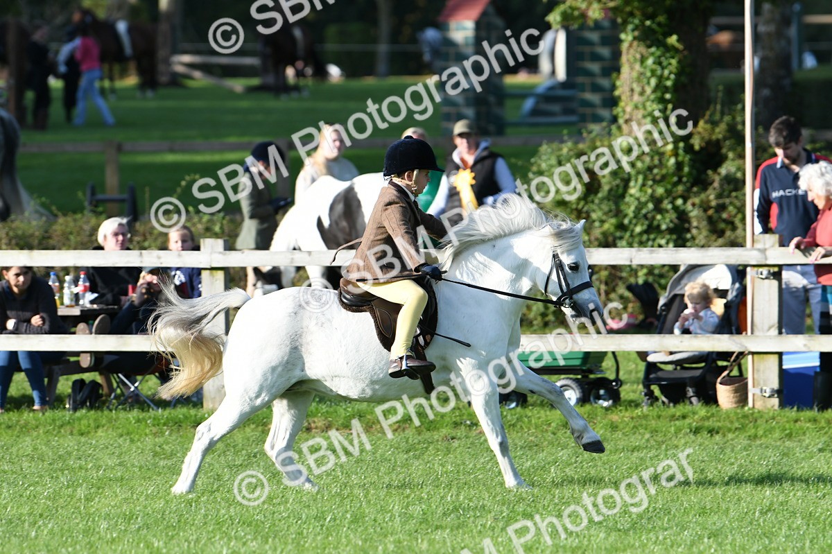 SBM_54037 - S23 - 1st Ridden Mountain & Moorland Pony