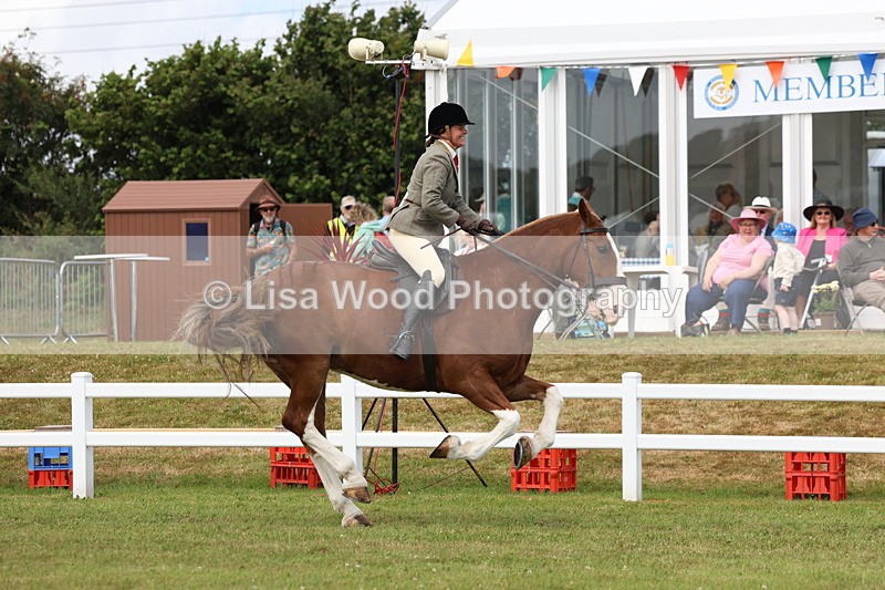 3E7A0300 - Class 6: Rising Star Maxi Cobs