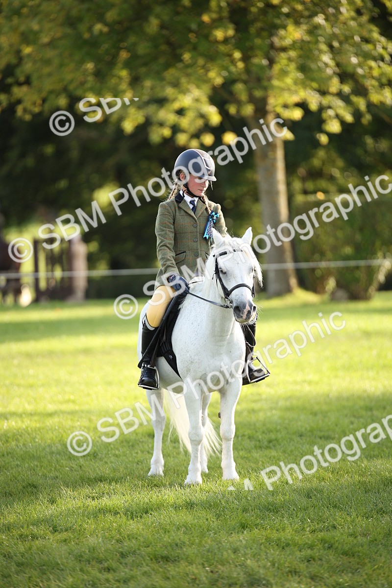 SBM_54342 - S27 - Mature Veteran - Ridden
