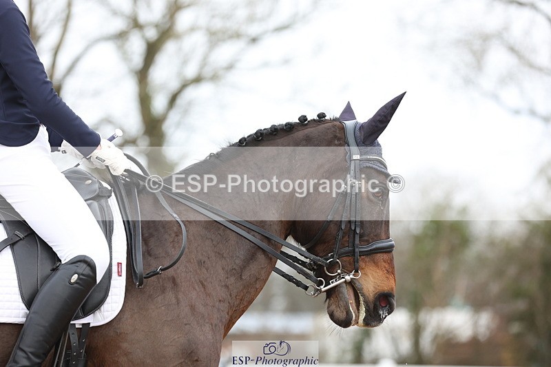 240121A-112308-01277 - Cls 9 Music Elementary