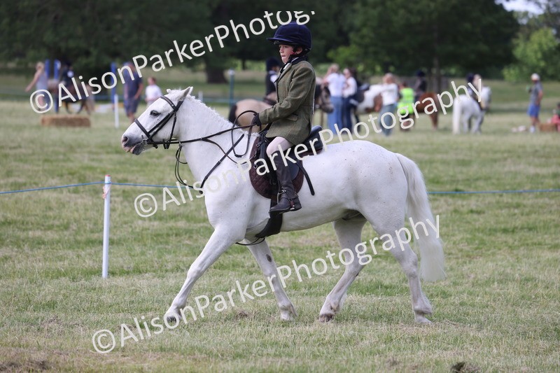 20260614-0666 - Class 20 - Beginners Working Hunter Pony