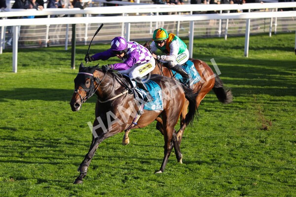 yr07102022r6-22 - Race 6 5.00pm William Hill Lengthen Your Odds EBF Novice Stakes