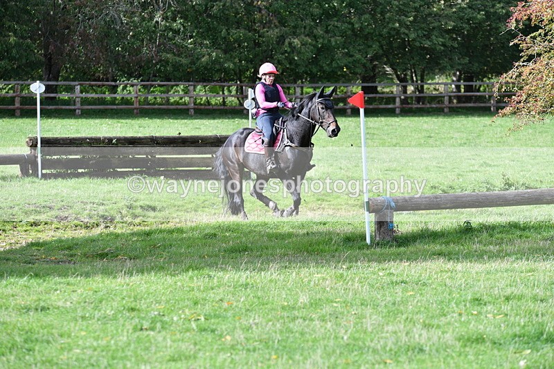 WJ5_8702 - Time 12:02 to 12:32