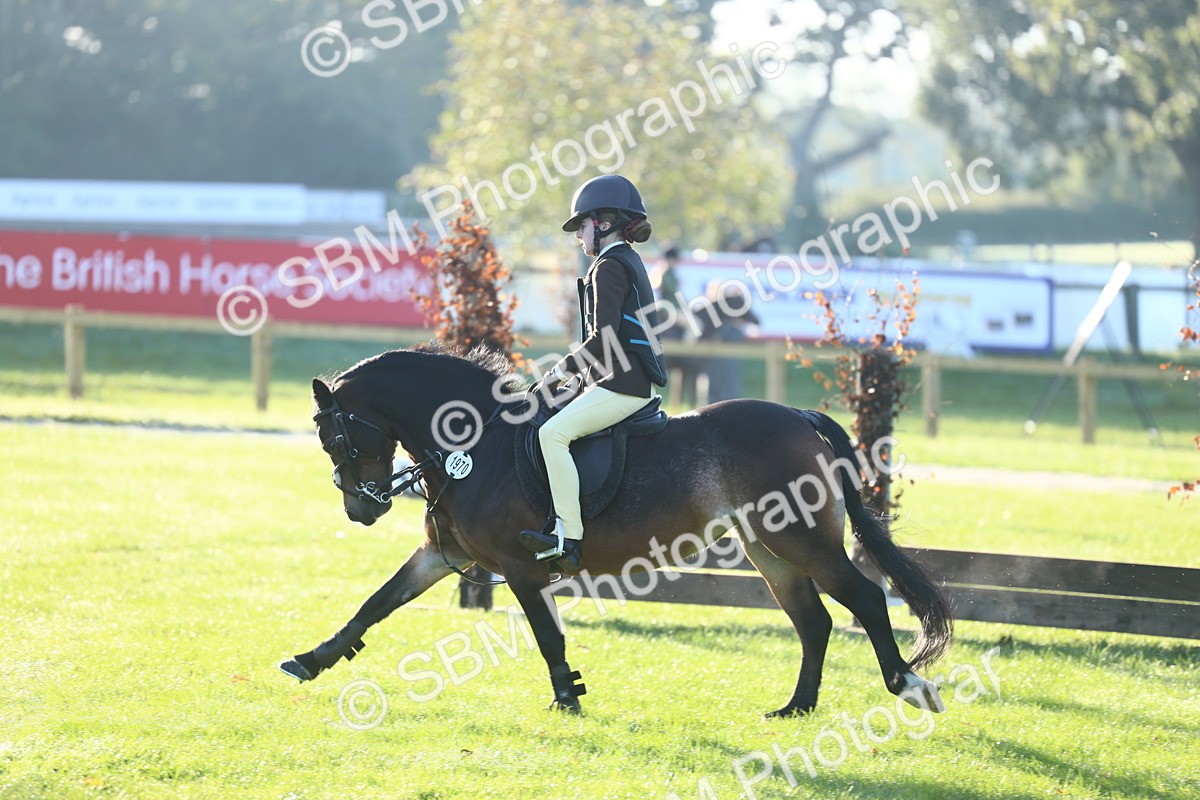 SBM_37306 - S29 - Novice & Newcomers Working Hunter Pony