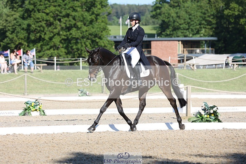 230526-090049-04981 - 351-TRINITY_CAVALIER-Henrietta_Horsley-gubbins-WEDTrotUp+DR