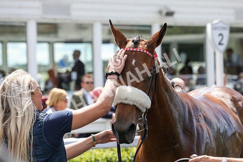 080624-Race 1-Rapido Girl-4564 - Race 1