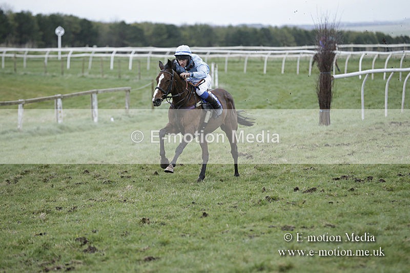 PtP 150320 0887 - New Forest Point-to-Point Larkhill 15/03/20