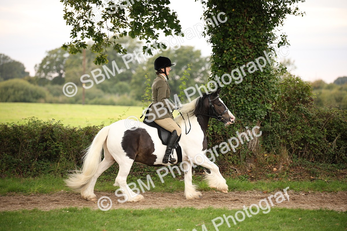 SBM_73456 - S68 - Traditional Cob Ridden