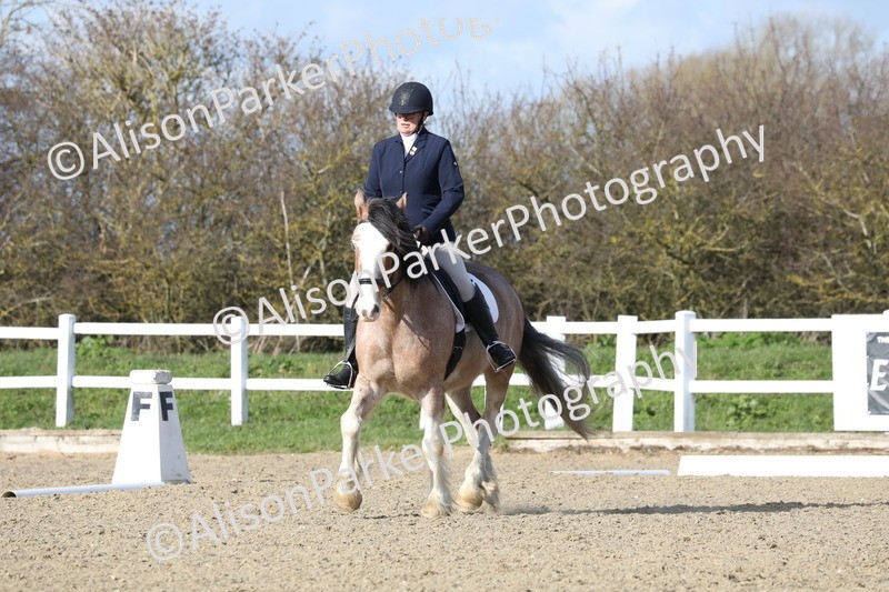 20260314-5002 - CT6 - Elementary 1