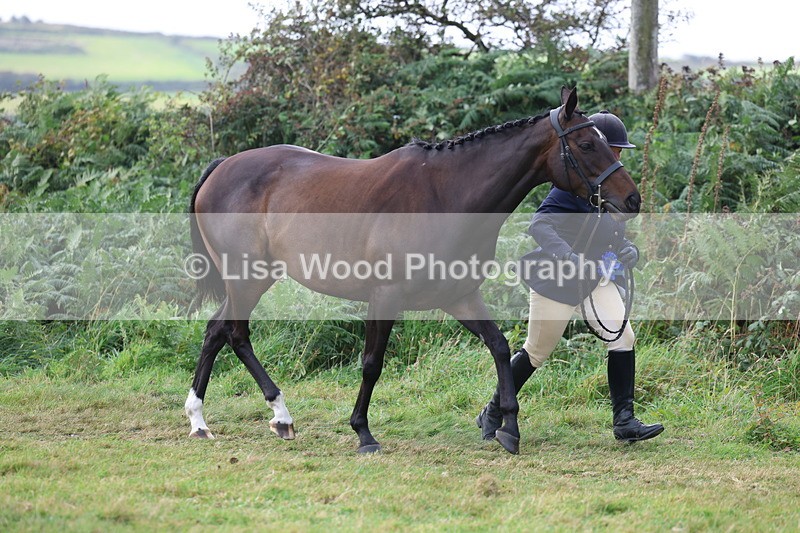 3E7A5644 - In Hand Championship