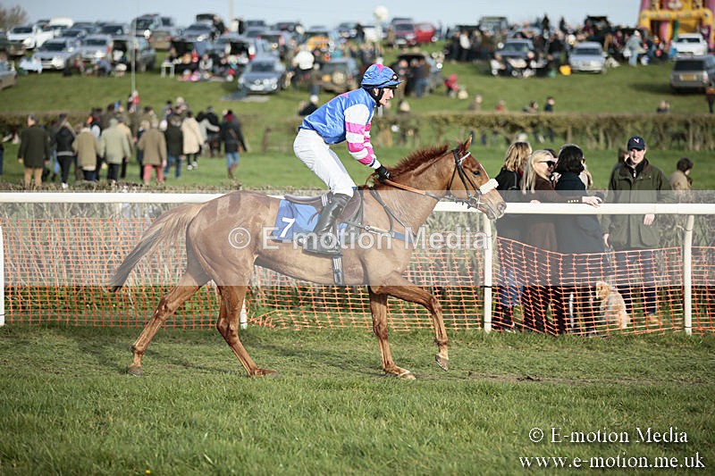 PtP 230319 502 - VWH Hunt Siddington Point-to-Point Racing 23/03/19