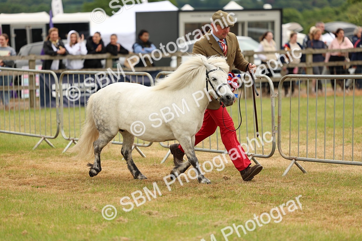 SBM_03596